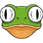 Sapo Warrior