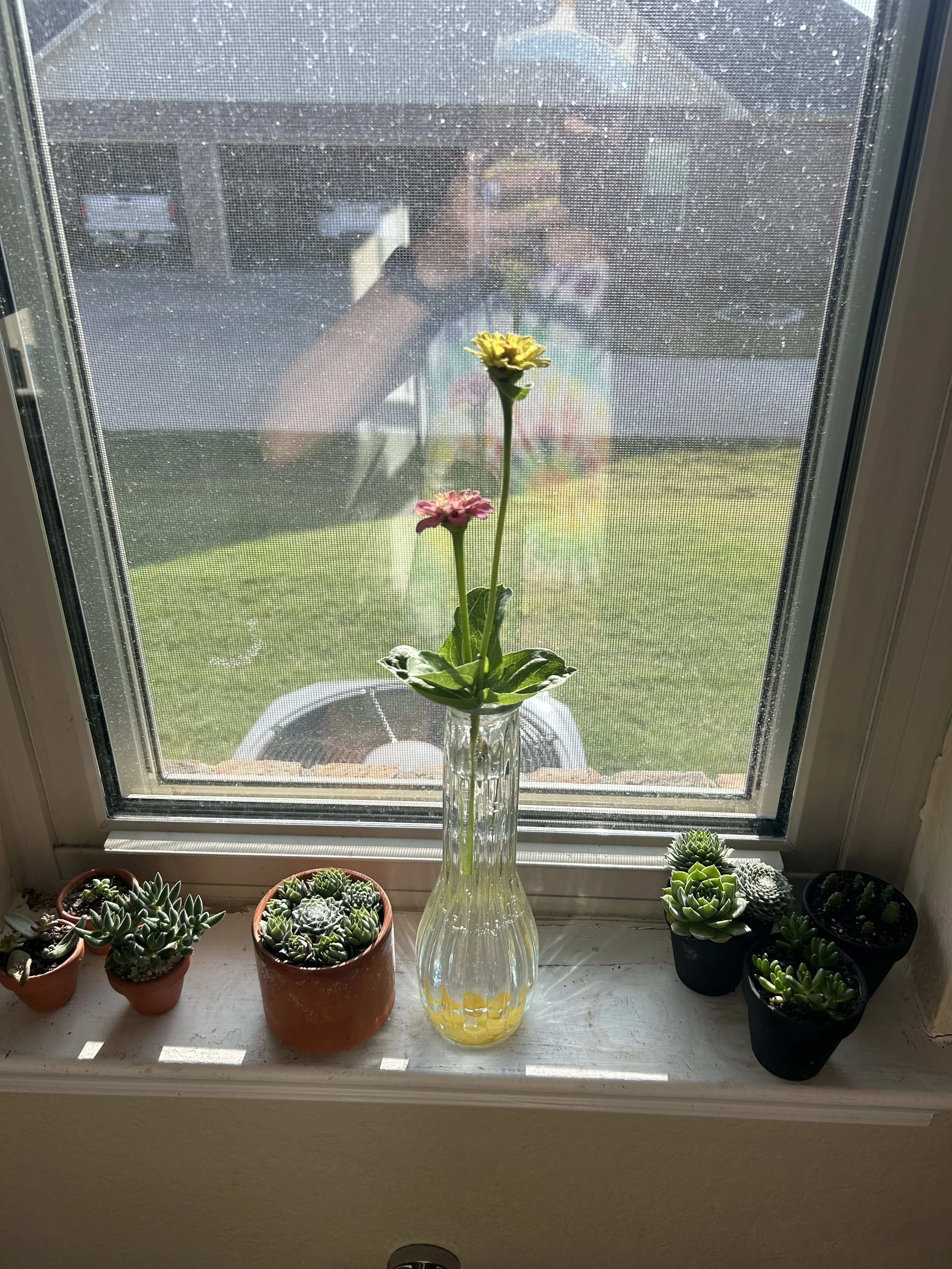 Flowers!