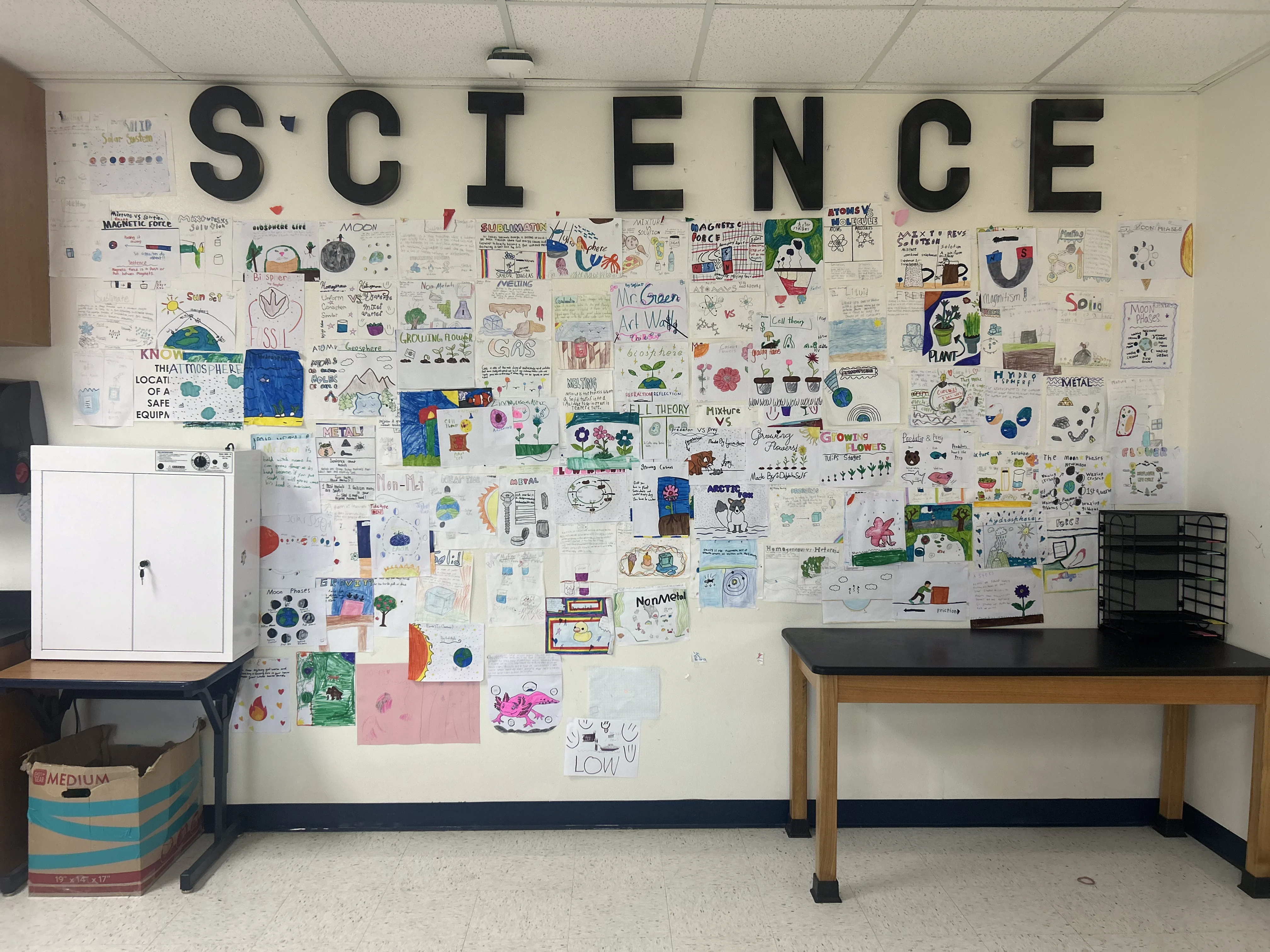 Science Art Wall