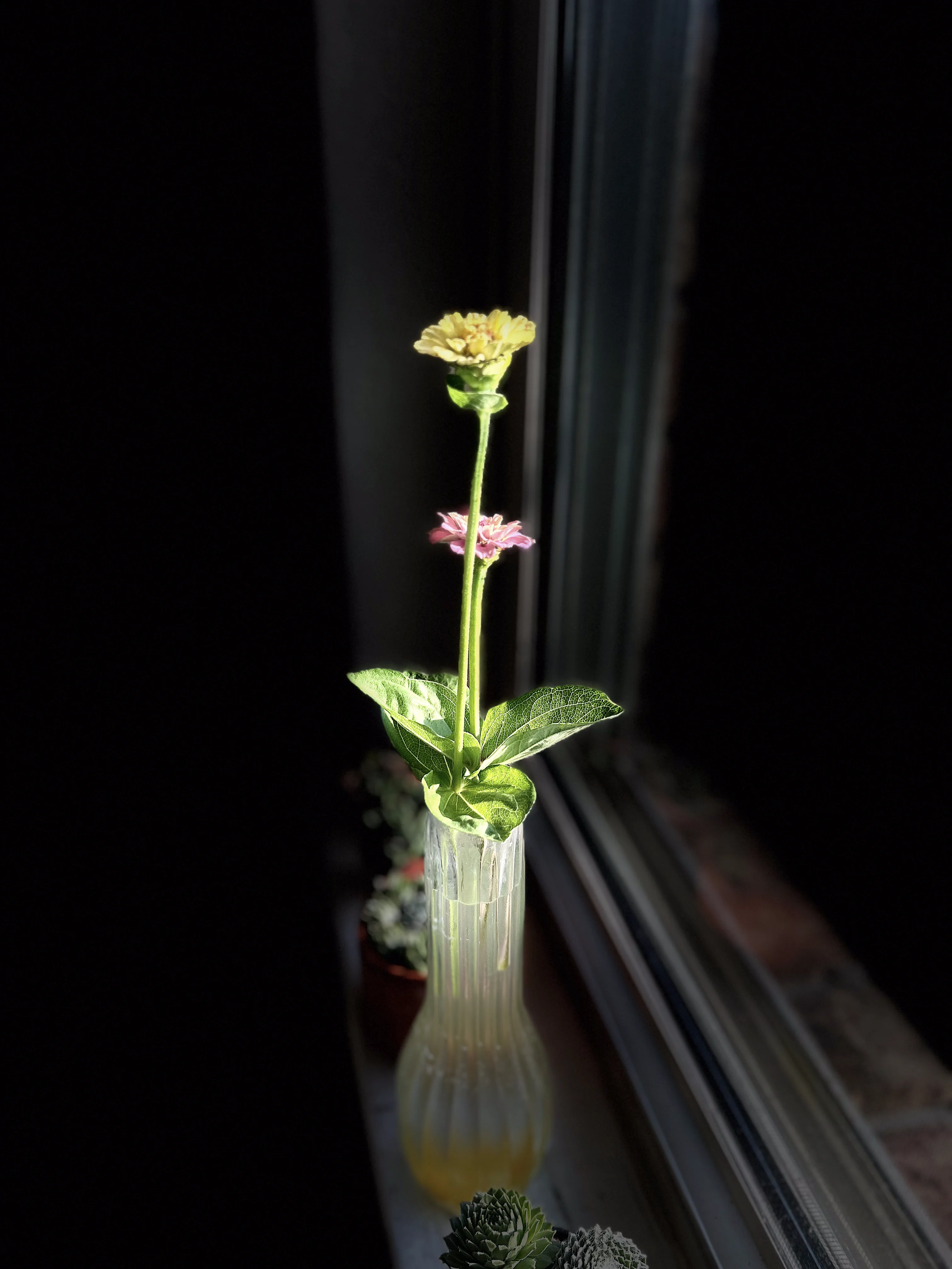 Flowers!